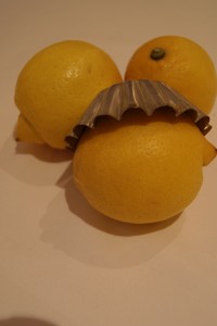 Zitronen mit Backform