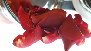 rote Rosenblätter